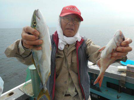 大進丸（愛知） 釣果