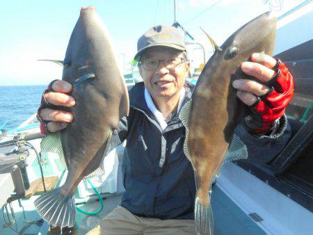 大進丸（愛知） 釣果