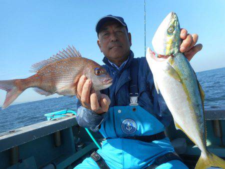 大進丸（愛知） 釣果