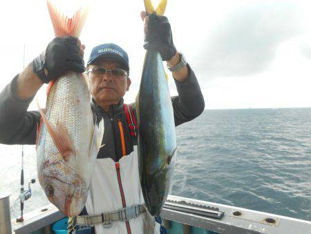 大進丸（愛知） 釣果