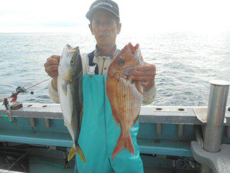 大進丸（愛知） 釣果