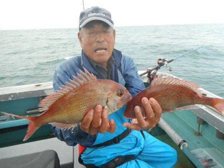 大進丸（愛知） 釣果