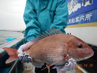 作十丸 釣果