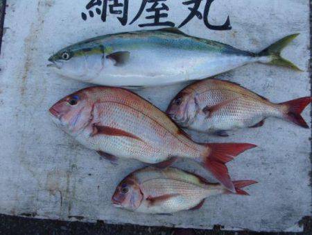 網屋丸 釣果