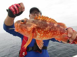 兼六丸 釣果