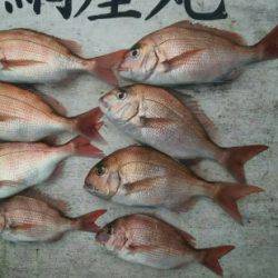 網屋丸 釣果