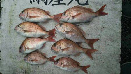 網屋丸 釣果