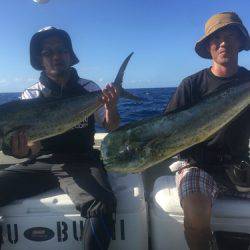 群星・むるぶし 釣果