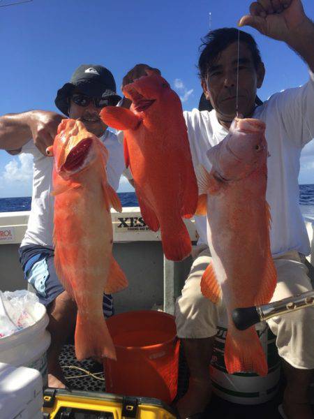 群星・むるぶし 釣果