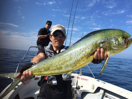 シーモンキー 釣果