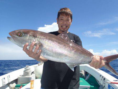 ゆりか 釣果