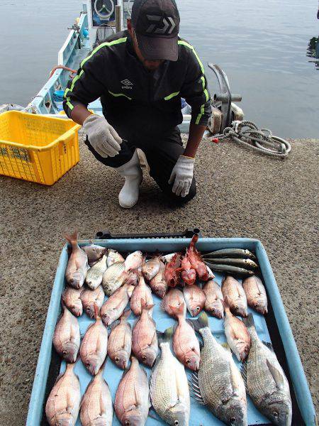 久六釣船 釣果