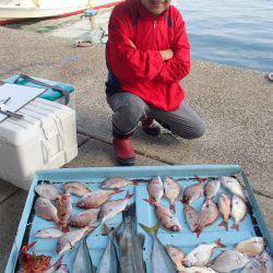 久六釣船 釣果