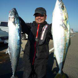 浅間丸 釣果