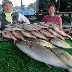 カタタのつり堀 釣果