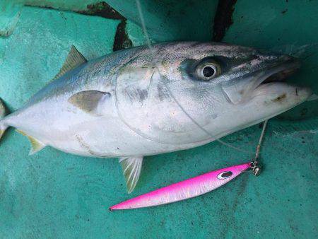 広進丸 釣果