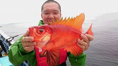 しまや丸 釣果