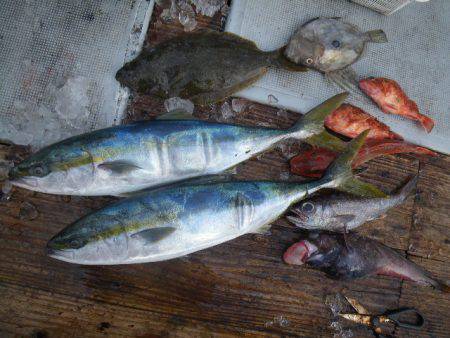 小海途 釣果