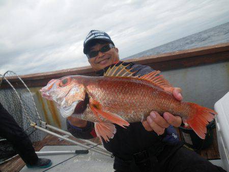 小海途 釣果