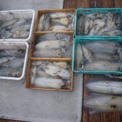 小海途 釣果