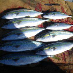 小海途 釣果