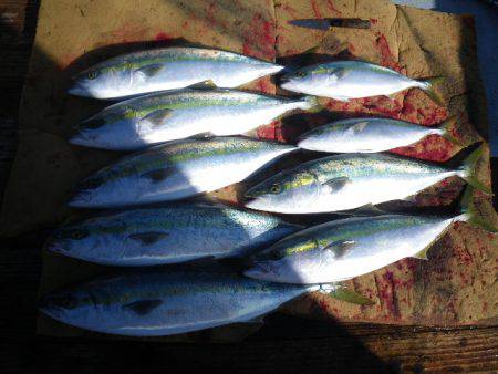 小海途 釣果