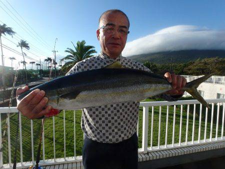 フィッシングハウス伊藤 釣果