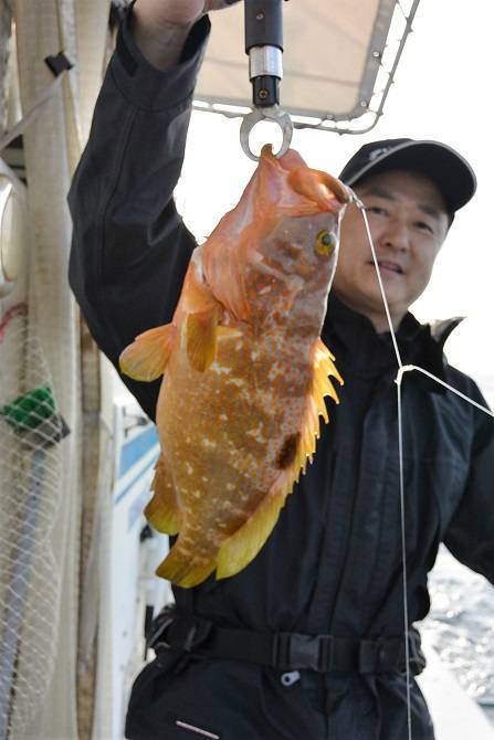 宝生丸 釣果