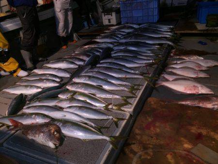 幸風（さちかぜ） 釣果