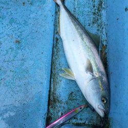 松鶴丸 釣果