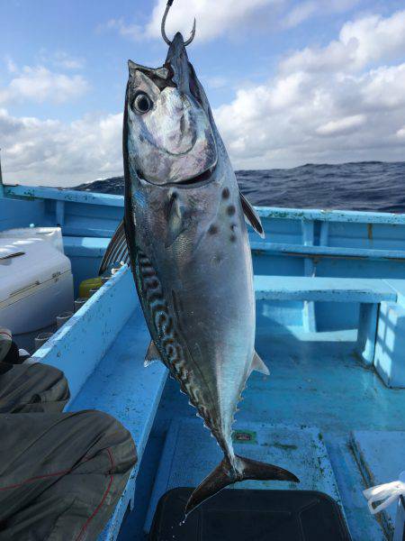 松鶴丸 釣果