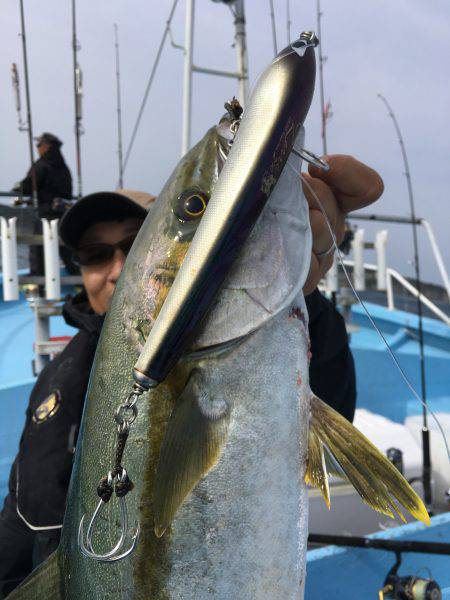 松鶴丸 釣果