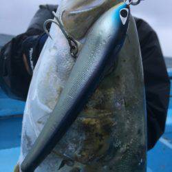 松鶴丸 釣果