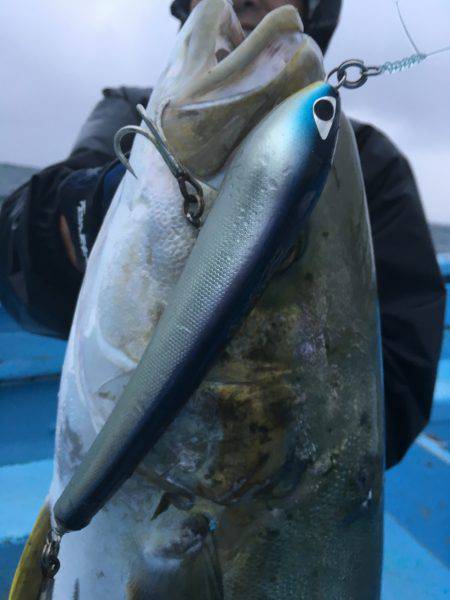 松鶴丸 釣果