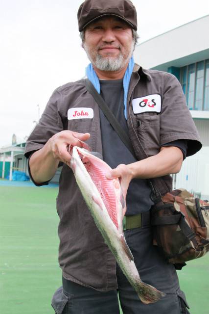 としまえんフィッシングエリア 釣果