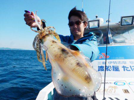 渡船屋たにぐち 釣果