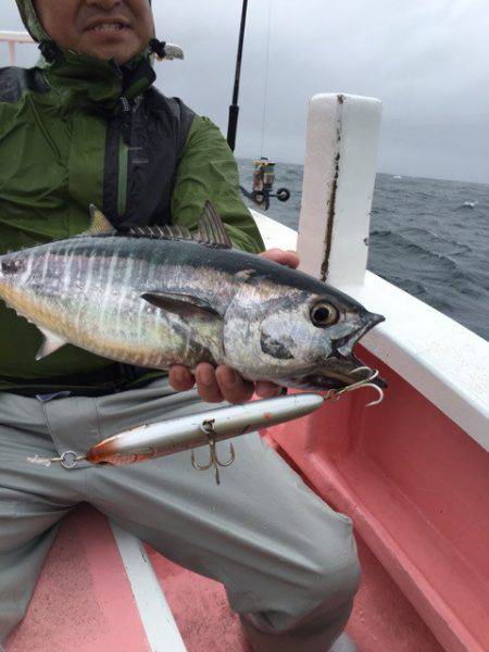 山正丸 釣果