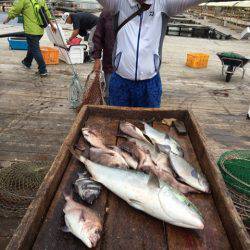 釣り堀水宝 釣果