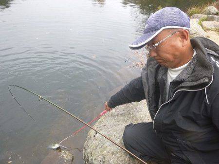 平谷湖フィッシングスポット 釣果