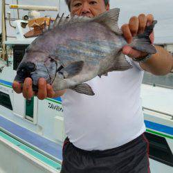 富士丸 釣果