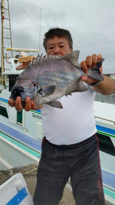 富士丸 釣果