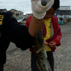 富士丸 釣果