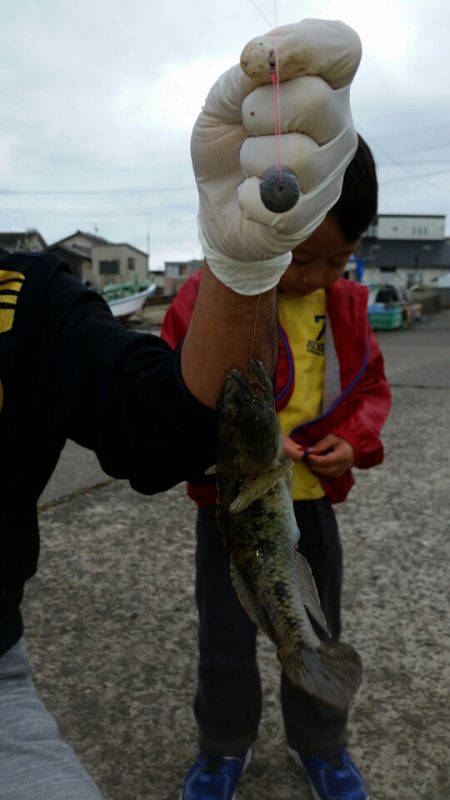 富士丸 釣果