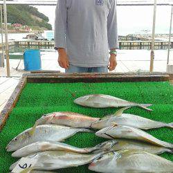 海の釣堀 海恵 釣果