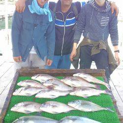 海の釣堀 海恵 釣果