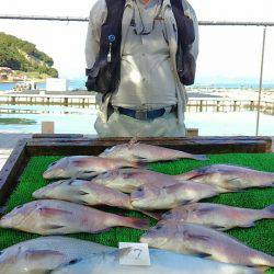 海の釣堀 海恵 釣果