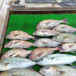 海の釣堀 海恵 釣果