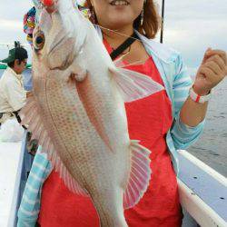 新幸丸 釣果