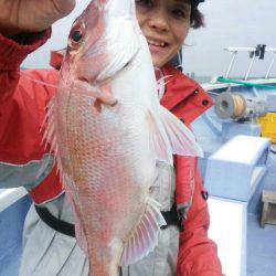 新幸丸 釣果