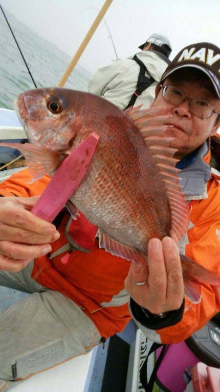 新幸丸 釣果